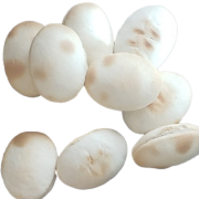 unidade_produto25.png